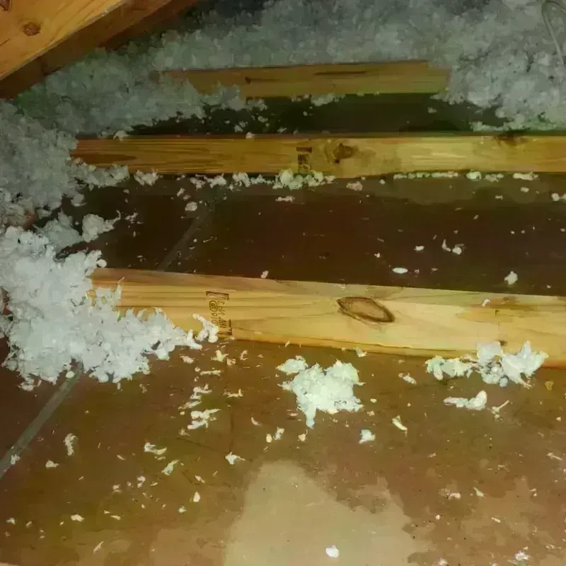 Attic Water Damage in Washington, VT